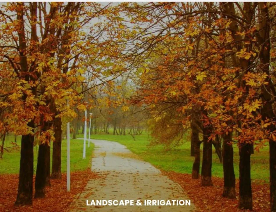 Landscaping and Plants (Chinar Group)